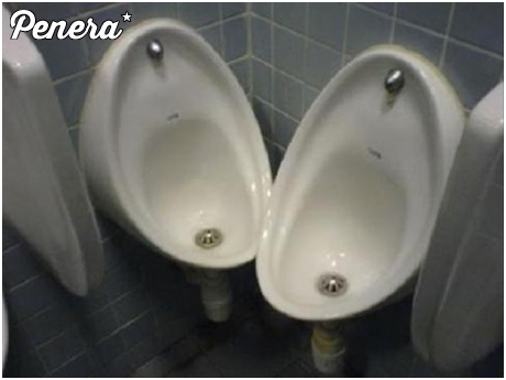 Albo Soczi albo klub dla gejów