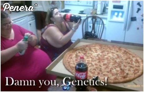 Ale wszystko to wina genów