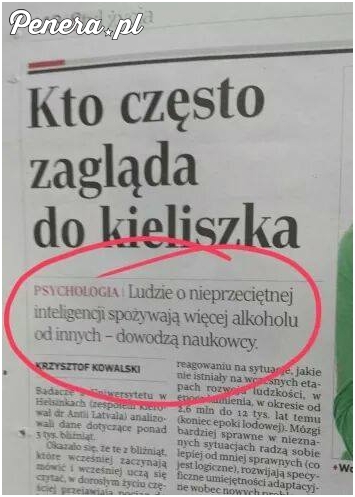 Alkoholicy są mega inteligentni