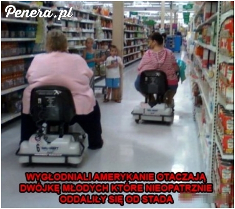 Amerykańskie polowa