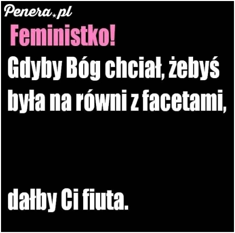 Apel do feministek