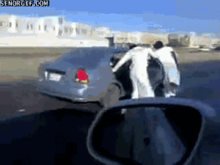 Arabscy panczeniści