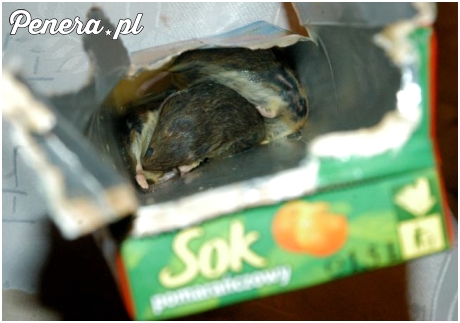 Aromatyczny dodatek do naturalnego soku