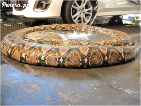 Azjatycki przenośny basen