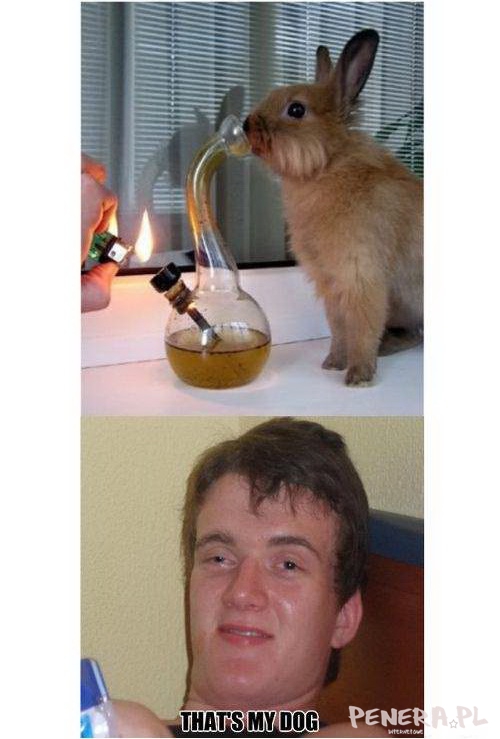 To mój....? To mój....?