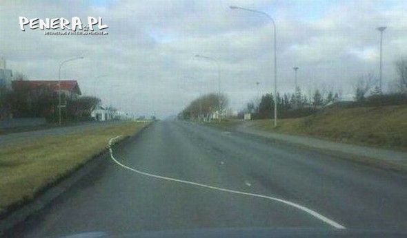 Musieli być już bardzo wstawieni! Musieli być już bardzo wstawieni!