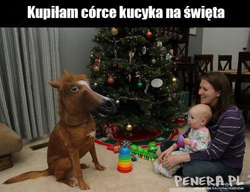 Kupiłam córce kucyka na święta Kupiłam córce kucyka na święta