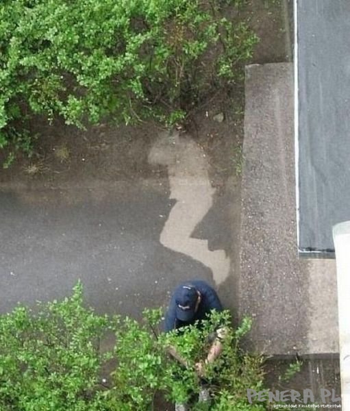 Obudził się trochę za późno Obudził się trochę za późno