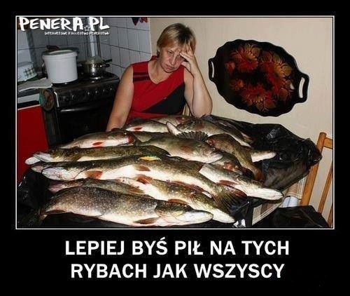 Lepiej byś pił na tych rybach