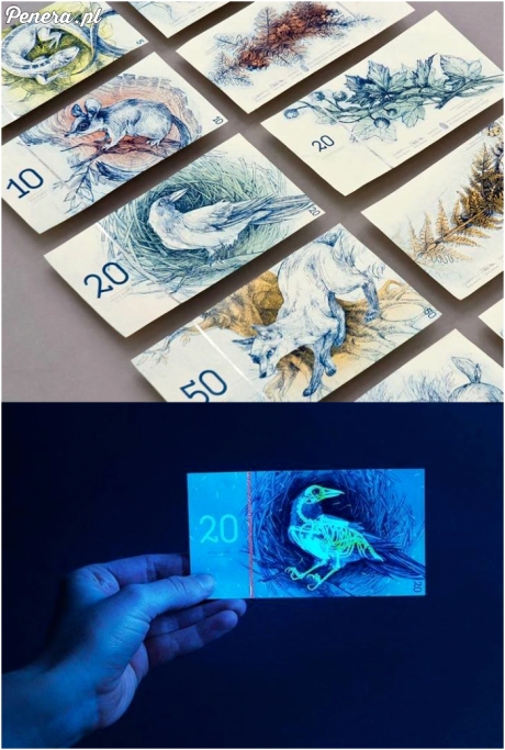 Banknoty zaprojektowane przez węgierską artystkę
