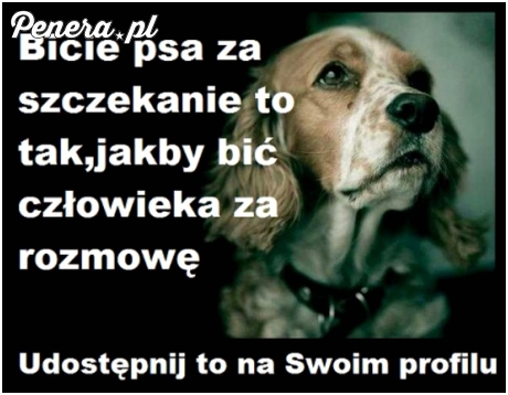 Bicie psa za szczekanie