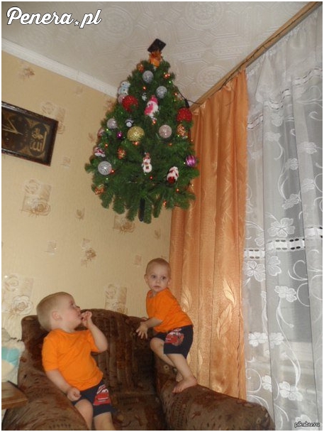 Bo jak tatuś zamontuje choinkę