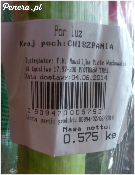 Bo pory pochodzą z Chiszpani