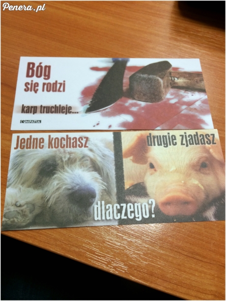 Bóg się rodzi karp truchleje