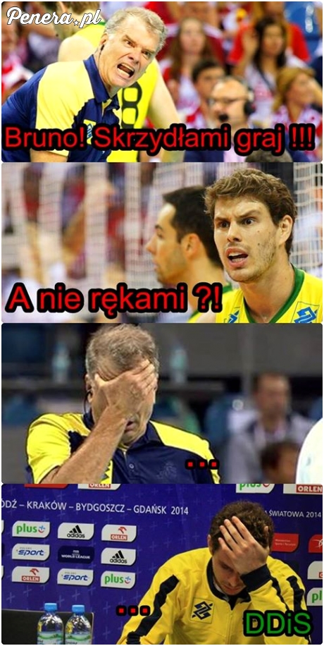 Bruno! Skrzydłami graj :D