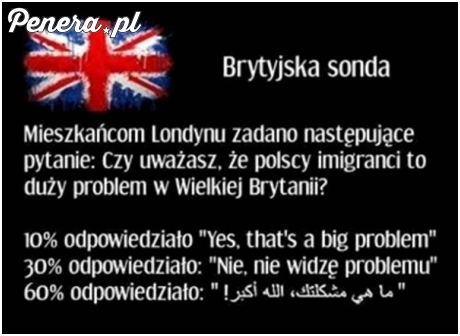 Brytyjska sonda na temat imigrantów Brytyjska sonda na temat imigrantów