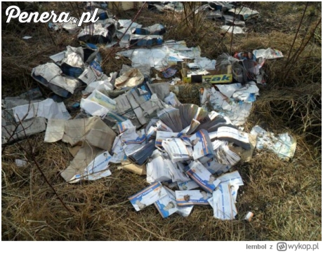 By żyło się lepiej! Dzikie wysypisko z nierozdanych ulotek