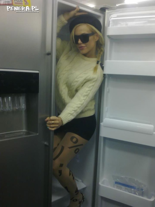 Lodówka z maszyną do robienia lodów Lodówka z maszyną do robienia lodów