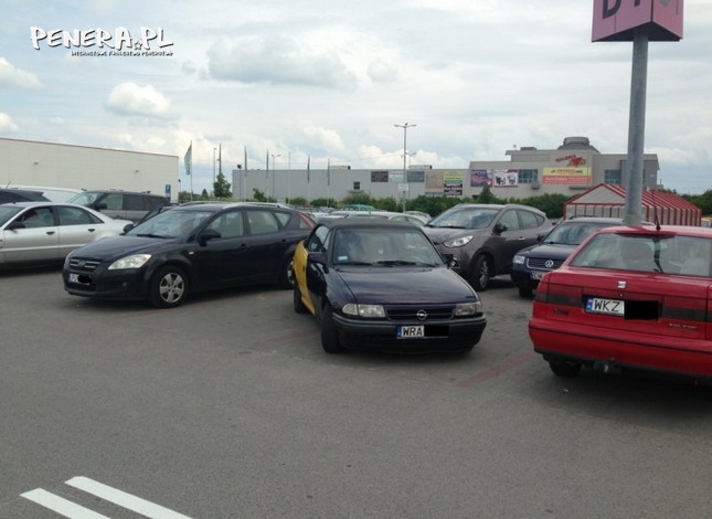 Mistrz parkowania Mistrz parkowania