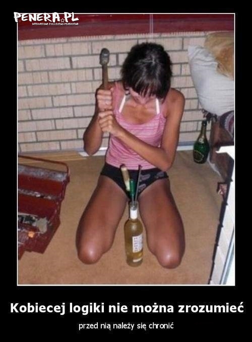 Kobiecej logiki nie można zrozumieć Kobiecej logiki nie można zrozumieć