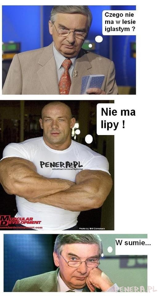 Czego nie ma w lesie liściastym? Czego nie ma w lesie liściastym?