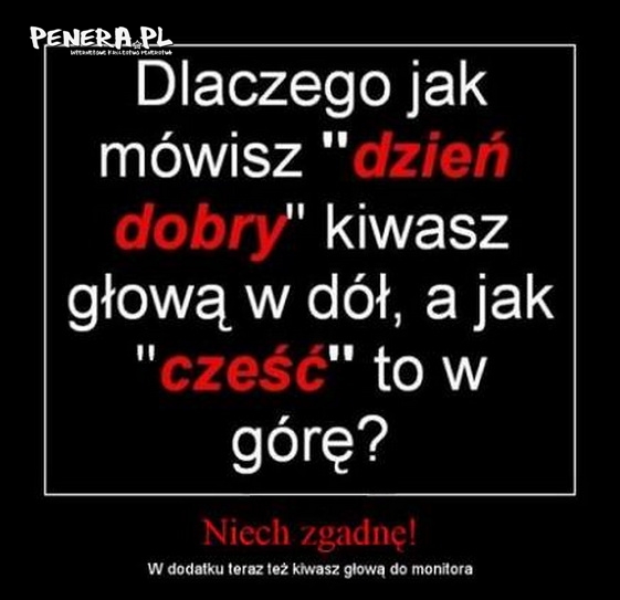 Dlaczego? Dlaczego?