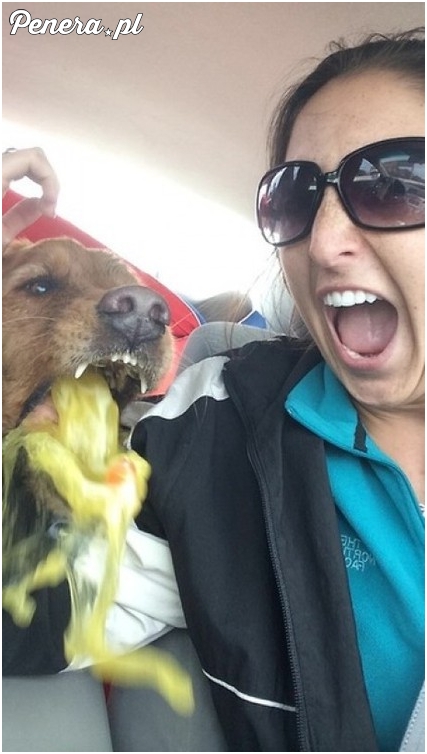 Chciała ładne selfie z pieskiem