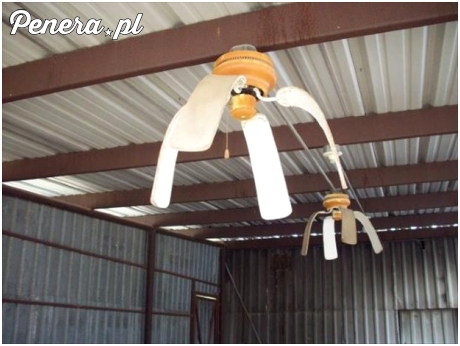 Chińskie wiatraki wymiękają