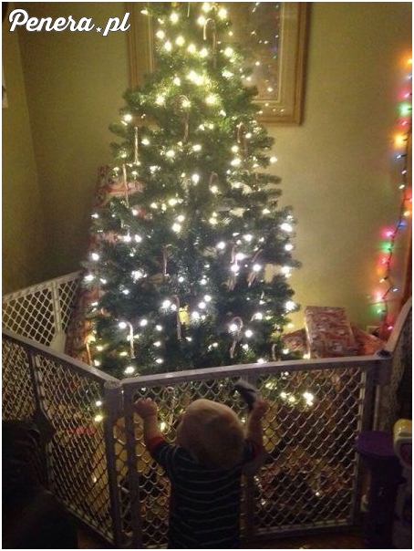 Choinka w areszcie
