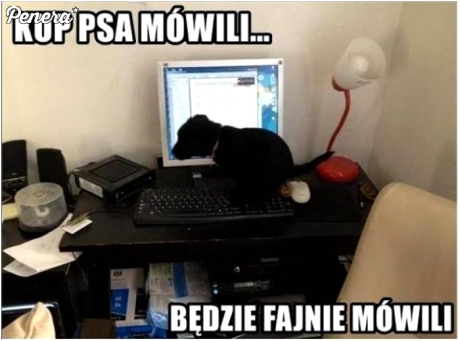 Chyba nikt mu nie powiedział że z psem się wychodzi