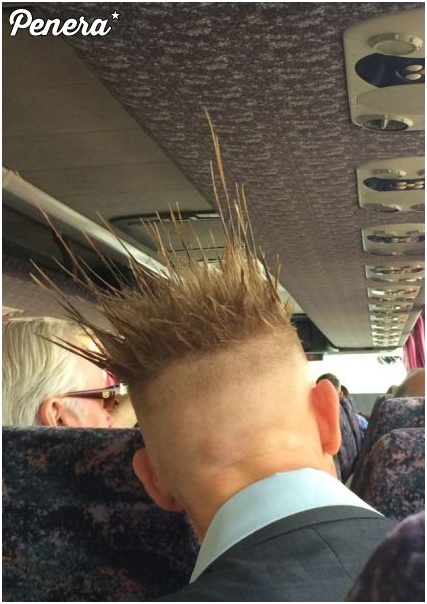 Chyba się do gniazdka podłączył