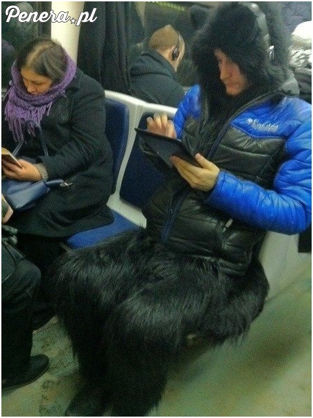 Chyba źrebi gościa