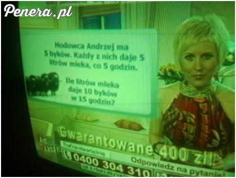 Ciekawe co za geniusz wpadł na pomysł dojenia byków