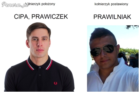 Co może zwykły kołnierzyk
