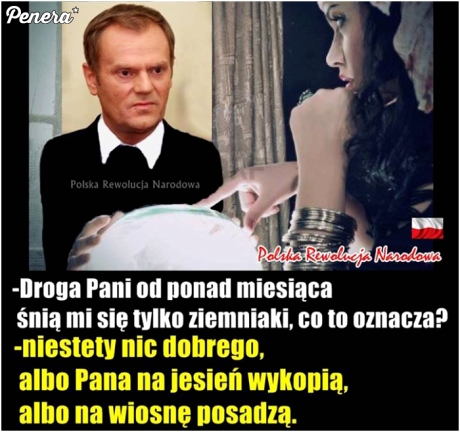 Co wróżka wywróżyła Donaldowi?
