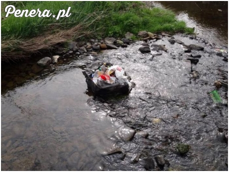 Co zrobić ze śmieciami po biwakowaniu?