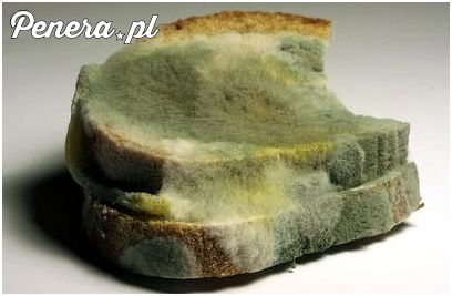 Czas wracać do szkoły - zajrzyj do plecaka