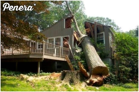 Czasami lepiej zatrudnić profesjonalistę