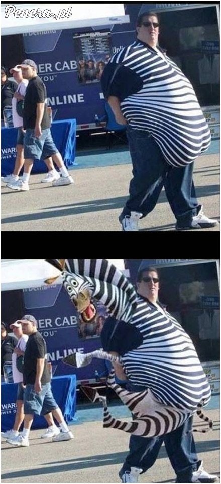 Człowiek Zebra