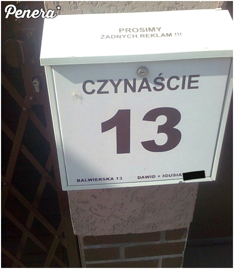 Dawid i Igusia mieszkają pod czynastką