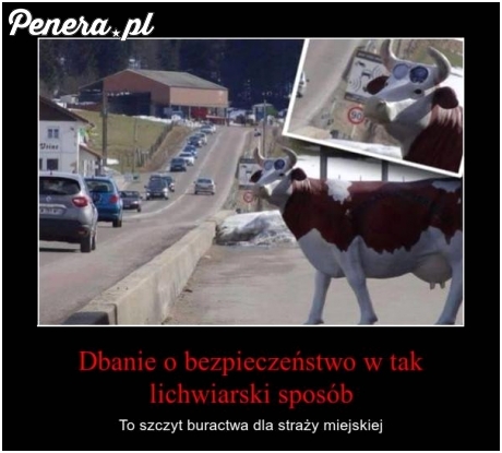 Dbanie o bezpieczeństwo w taki lichwiarski sposób