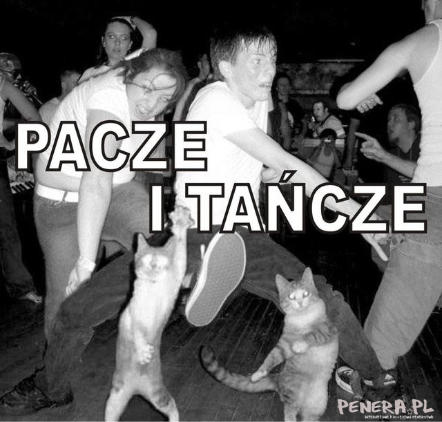 Pacze i tańcze Pacze i tańcze