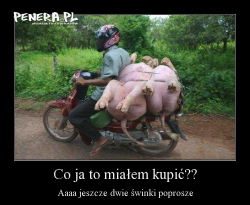 Drobne zakupy Drobne zakupy