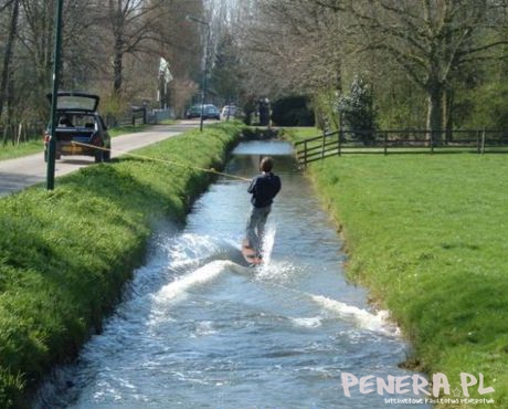On już poczuł wiosnę! On już poczuł wiosnę!