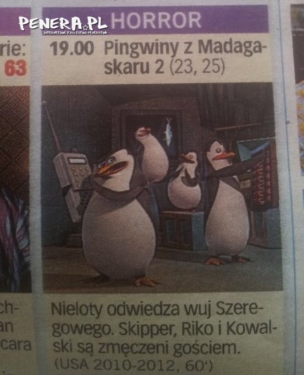 Pingwiny z Madagaskaru to horror! Pingwiny z Madagaskaru to horror!