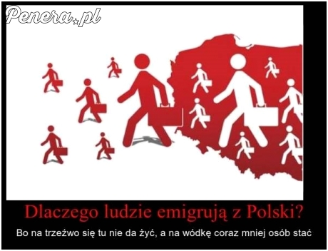 Dlaczego ludzie emigrują z Polski