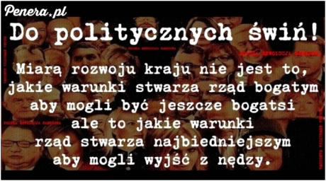 Do naszych rządowych świń!