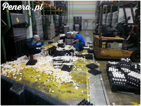 Dobra Stefan nie rób sobie jaj ;)