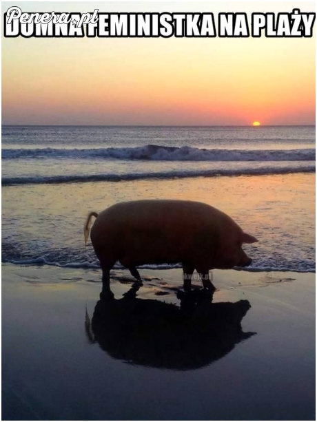 Dumna feministka na plaży