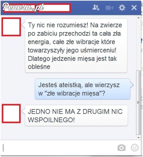 Dyskusja z wegetarianką